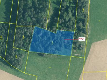 Prodej - pozemek, les, 3 965 m²