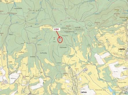 Prodej - pozemek, les, 3 805 m²