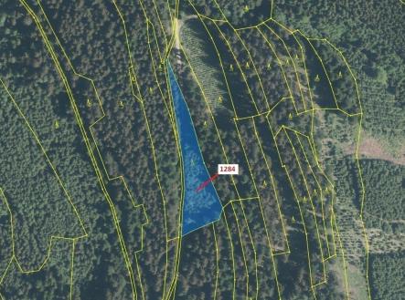 Prodej - pozemek, les, 3 805 m²