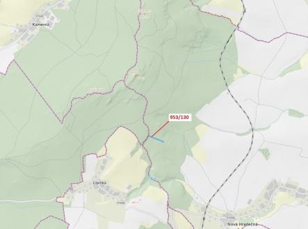 Prodej - pozemek, les, 5 079 m²