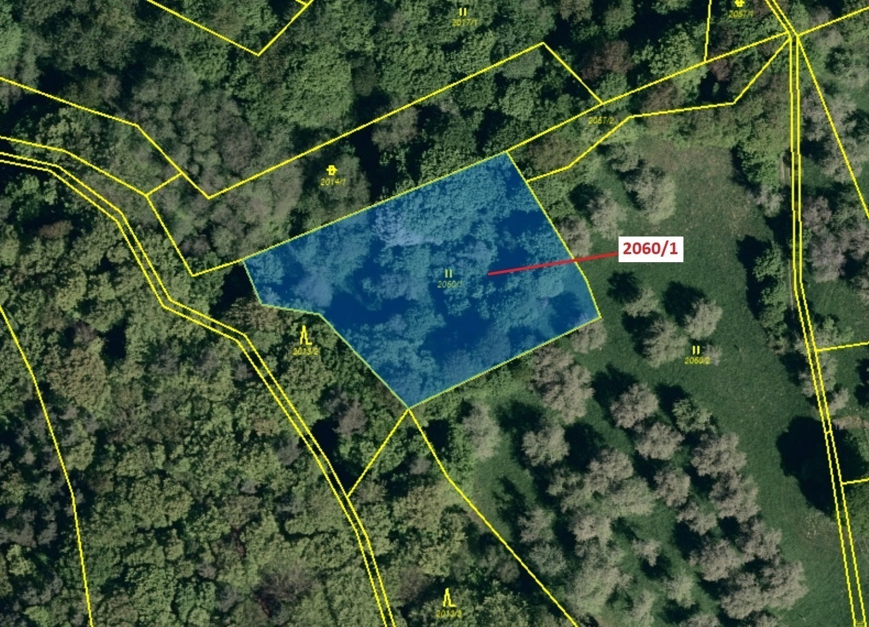 Trvalý travní porost o výměře 2555 m2, podíl 1/1, katastrální území Slopné, obec Slopné, obec s rozš