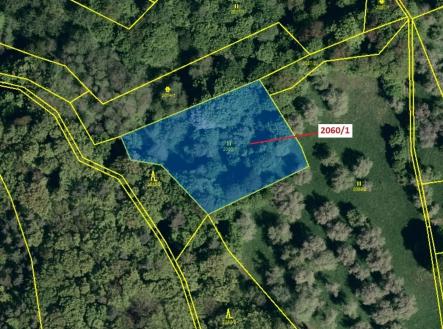 Prodej - pozemek, trvalý travní porost, 2 555 m²