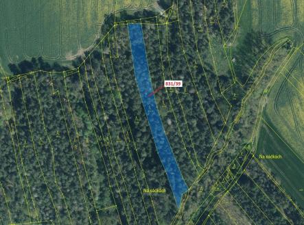 Prodej - pozemek, les, 3 368 m²