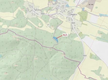 Prodej - pozemek, les, 3 251 m²