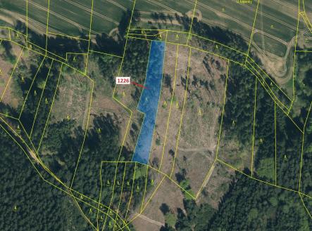 Prodej - pozemek, les, 3 593 m²