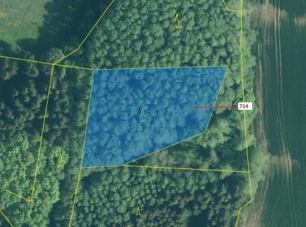 Prodej - pozemek, les, 2 850 m²