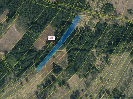 Prodej - pozemek, les, 2 693 m²