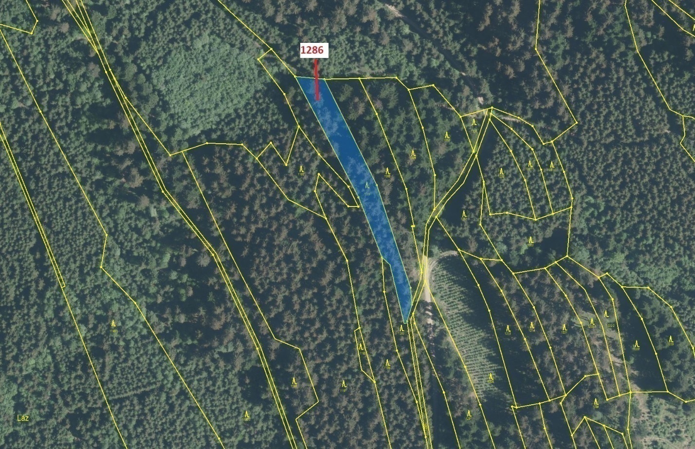 Lesní pozemek o výměře 2442 m2, podíl 1/1, katastrální území Lačnov, obec Lačnov, obec s rozšířenou 