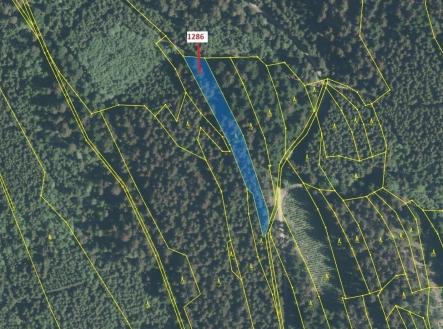 Prodej - pozemek, les, 2 442 m²