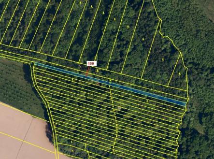 Prodej - pozemek, les, 1 895 m²