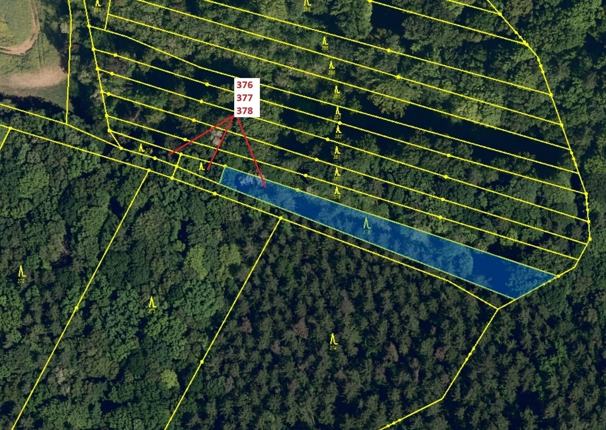 Lesní pozemky o výměře 1703 m2, podíl 1/1, katastrální území Hradčany na Moravě, obec Hradčany, obec