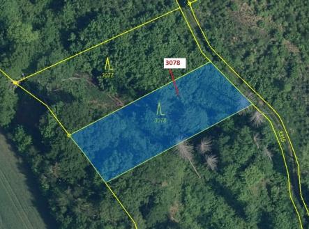 Prodej - pozemek, les, 1 110 m²