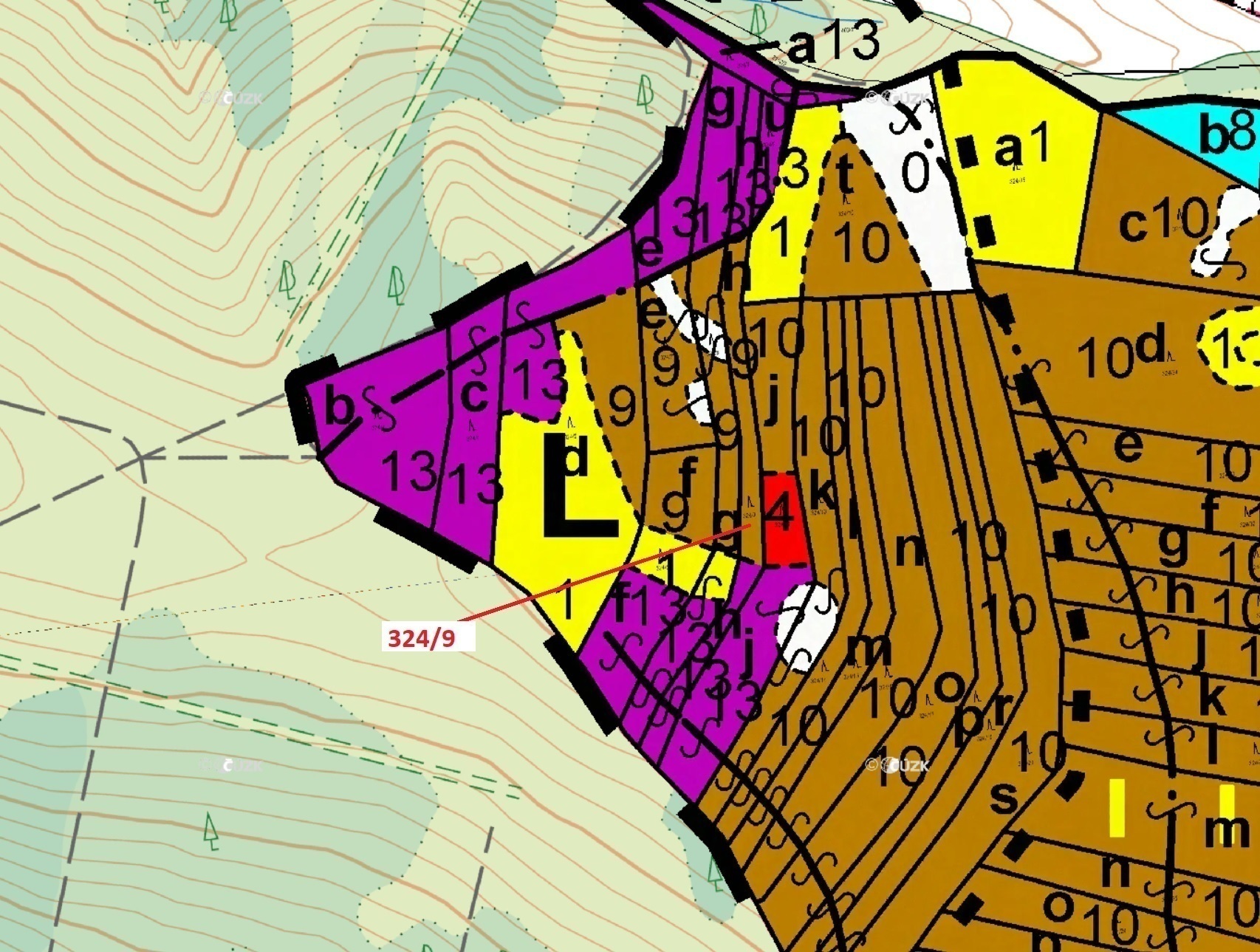 Lesní pozemek o výměře 1978 m2, podíl 1/1, katastrální území Chotěbudice, obec Chotěbudice, obec s r