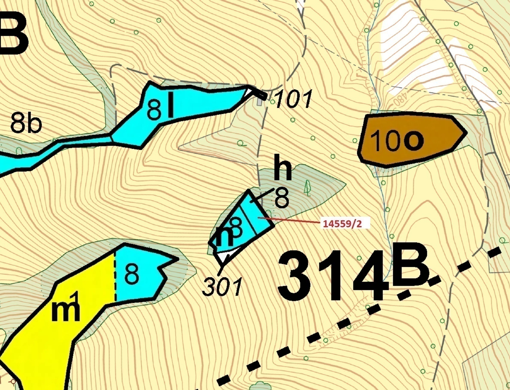 Lesní pozemek o výměře 605 m2, podíl 1/1, katastrální území Hovězí, obec Hovězí, obec s rozšířenou p