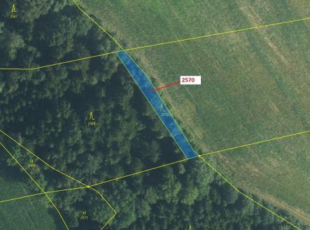 Prodej - pozemek, les, 447 m²