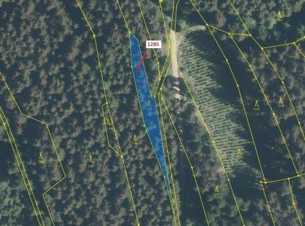 Prodej - pozemek, les, 849 m²