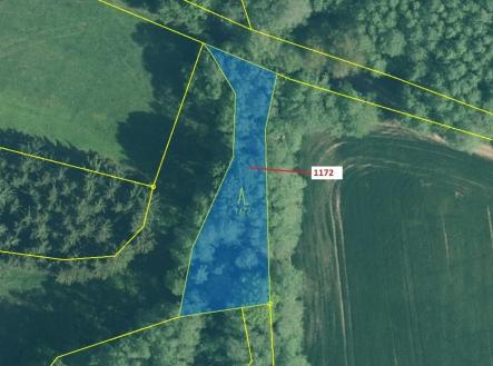 Prodej - pozemek, les, 875 m²