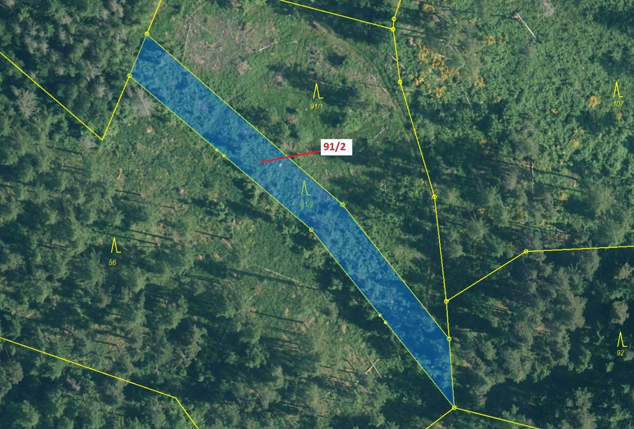 Lesní pozemek o výměře 1363 m2, podíl 1/1, katastrální území Velešice u Pačejova, obec Pačejov, obec