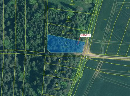 Prodej - pozemek, les, 978 m²