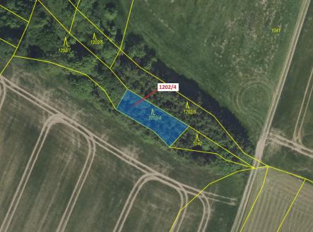 Prodej - pozemek, les, 356 m²