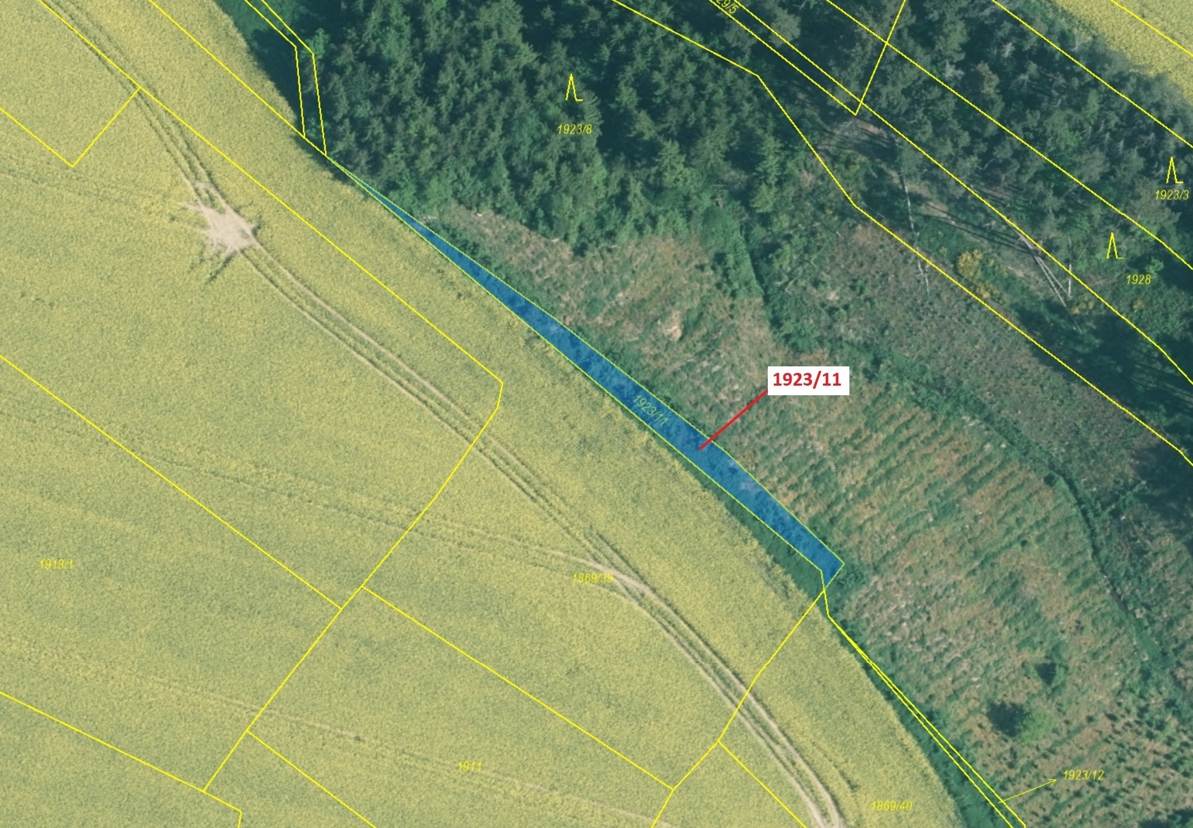 Lesní pozemek o výměře 323 m2, podíl 1/1, katastrální území Hosty, obec Hosty, obec s rozšířenou půs