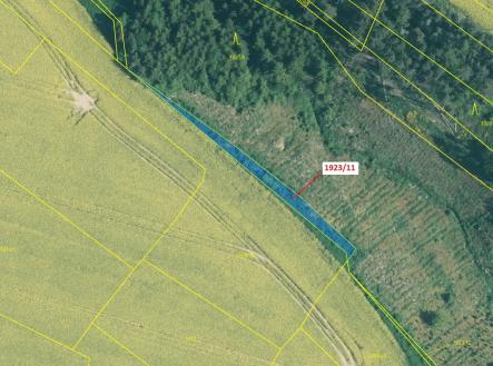 Prodej - pozemek, les, 323 m²