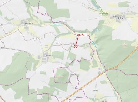 Prodej - pozemek, les, 301 m²