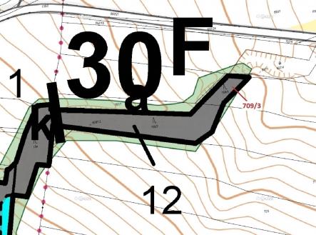 Prodej - pozemek, les, 301 m²