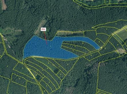 Prodej - pozemek, les, 25 680 m²