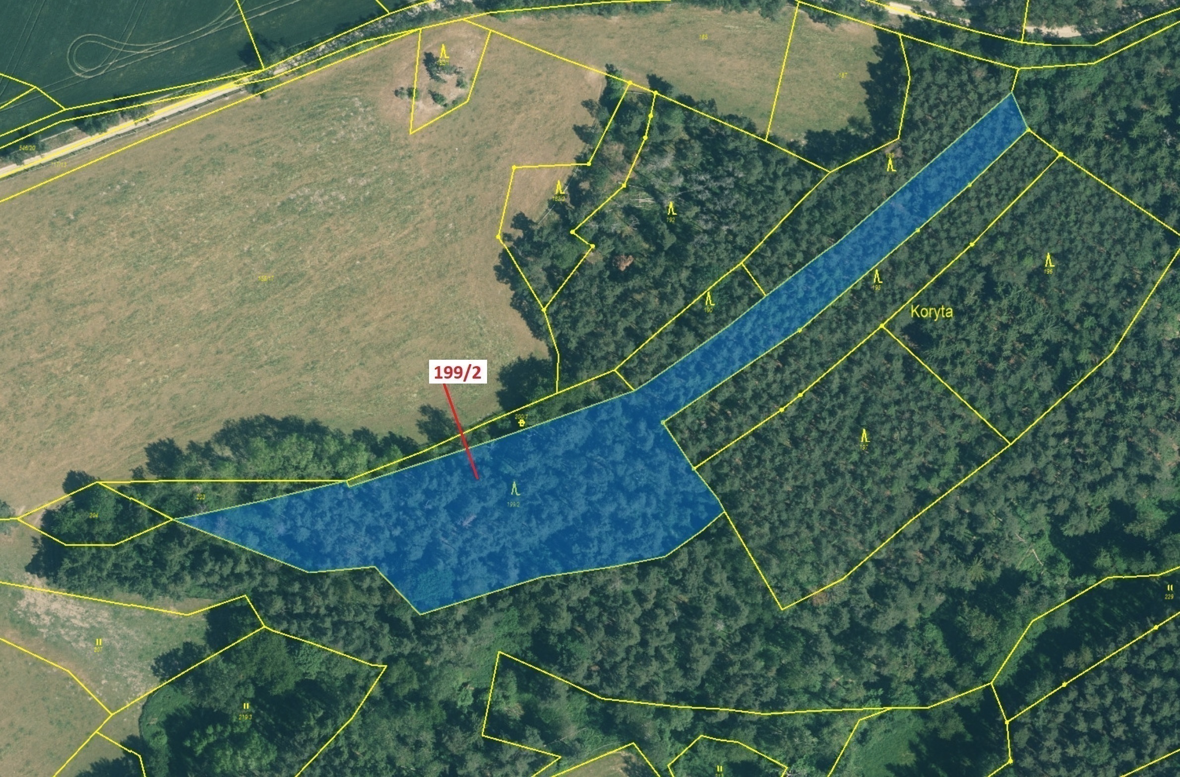 Lesní pozemek o výměře 8 273 m2, podíl 1/1, katastrální území Česká Doubravice, obec Manětín, obec s