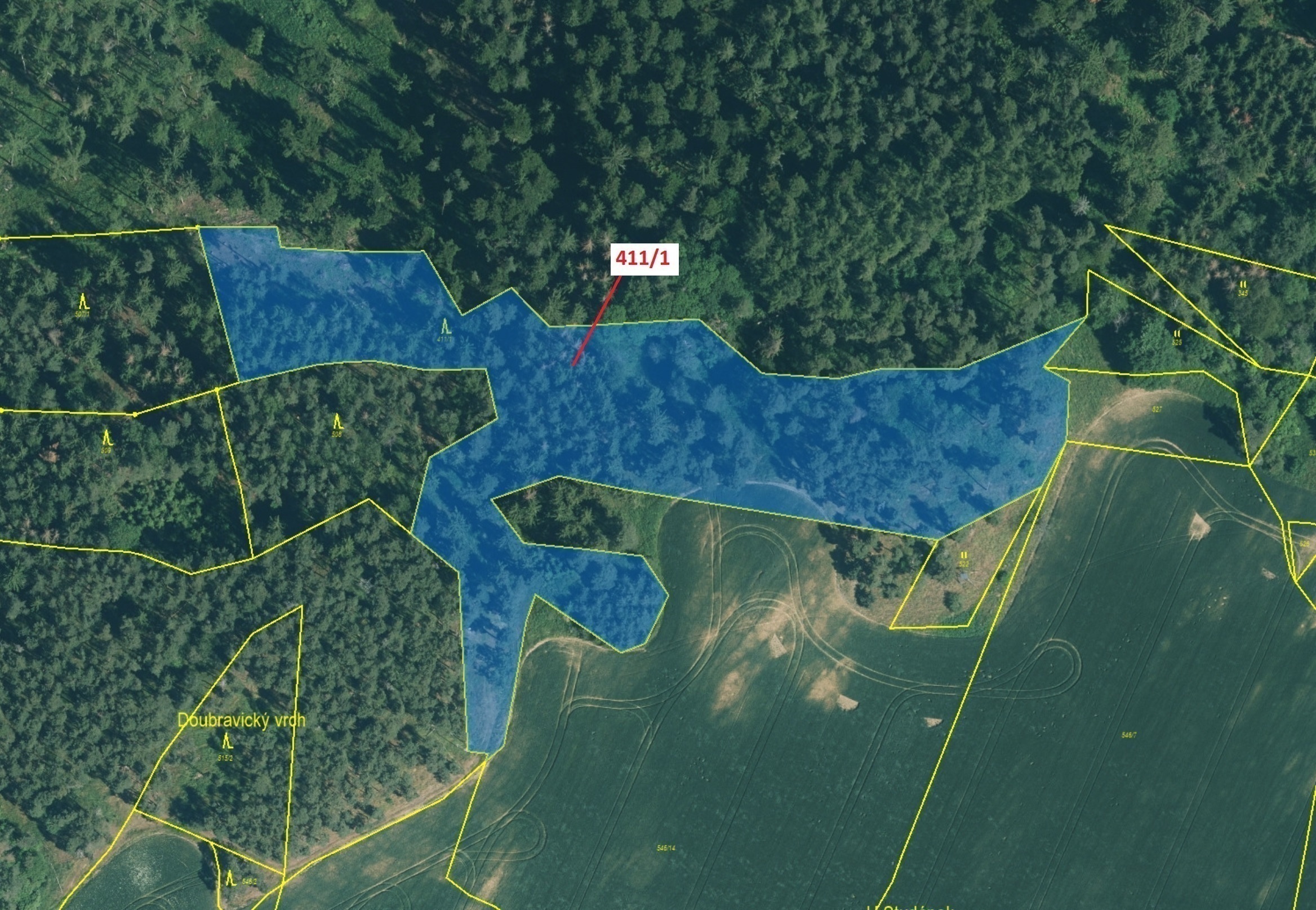 Lesní pozemek o výměře 12 307 m2, podíl 1/1, katastrální území Česká Doubravice, obec Manětín, obec 