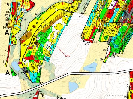 Prodej - pozemek, les, 9 243 m²