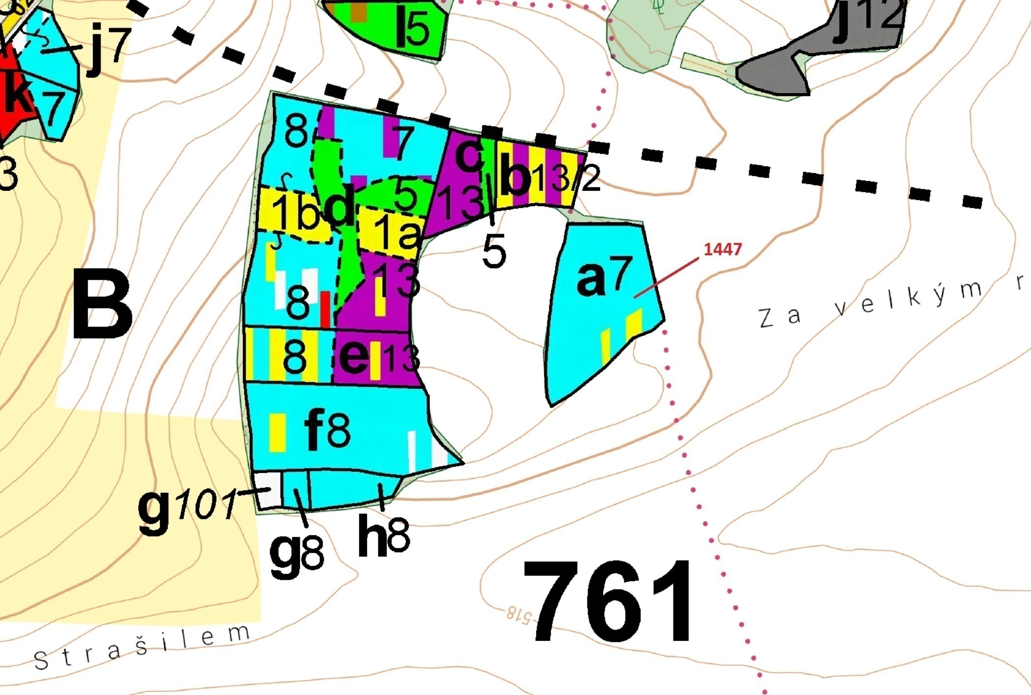 Lesní pozemek o výměře 4 542 m2, podíl 1/1, katastrální území Bezděkov u Kasejovic, obec Hradiště, o