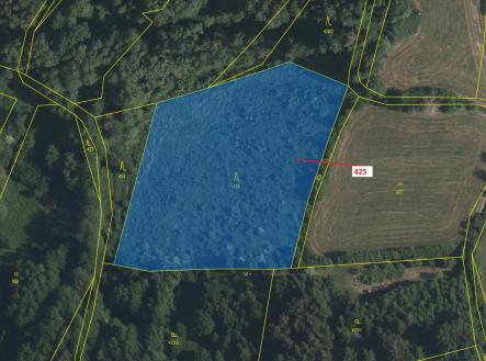 Prodej - pozemek, les, 7 499 m²