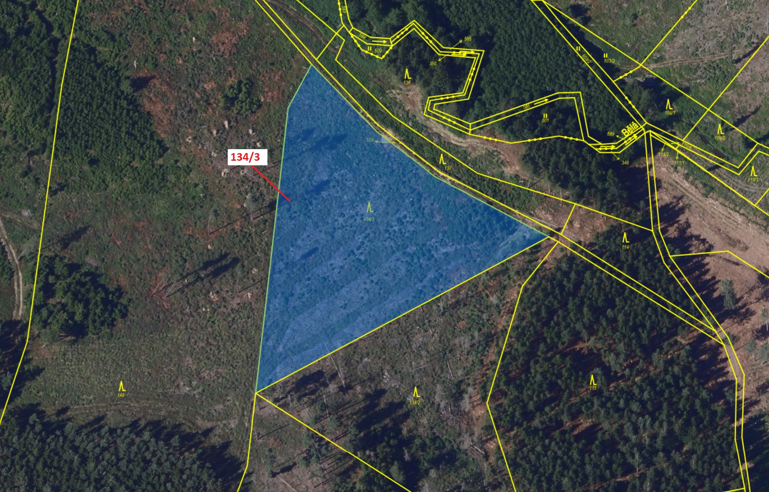Lesní pozemek o výměře 8330 m2, podíl 1/1, katastrální území Macourov, obec Žižkovo Pole, obec s roz