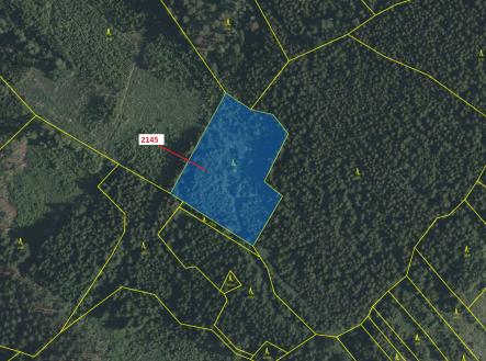 Prodej - pozemek, les, 5 413 m²