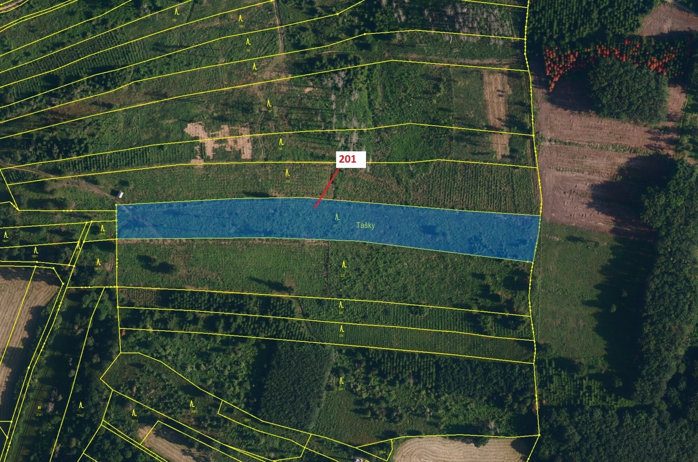 Lesní pozemek o výměře 7 796 m2, podíl 1/1, katastrální území Loukovice, obec Loukovice, obec s rozš