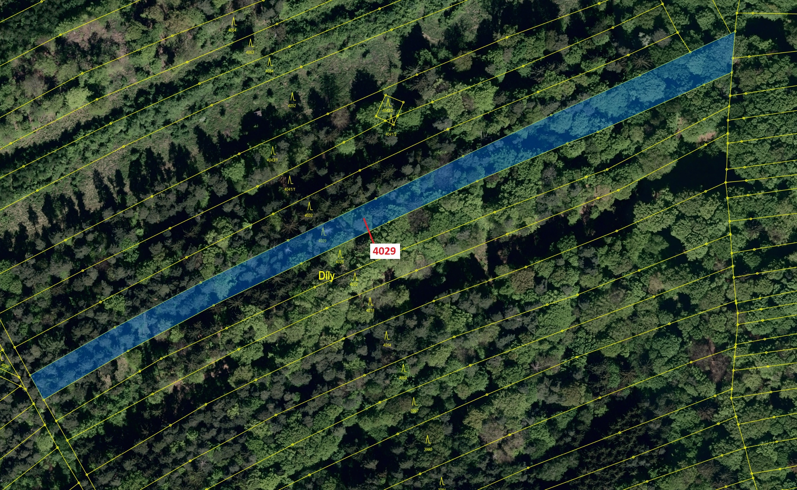 Lesní pozemek o výměře 5996 m2, podíl 1/1, katastrální území Pitín, obec Pitín, obec s rozšířenou pů