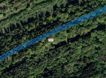 Prodej - pozemek, les, 5 996 m²