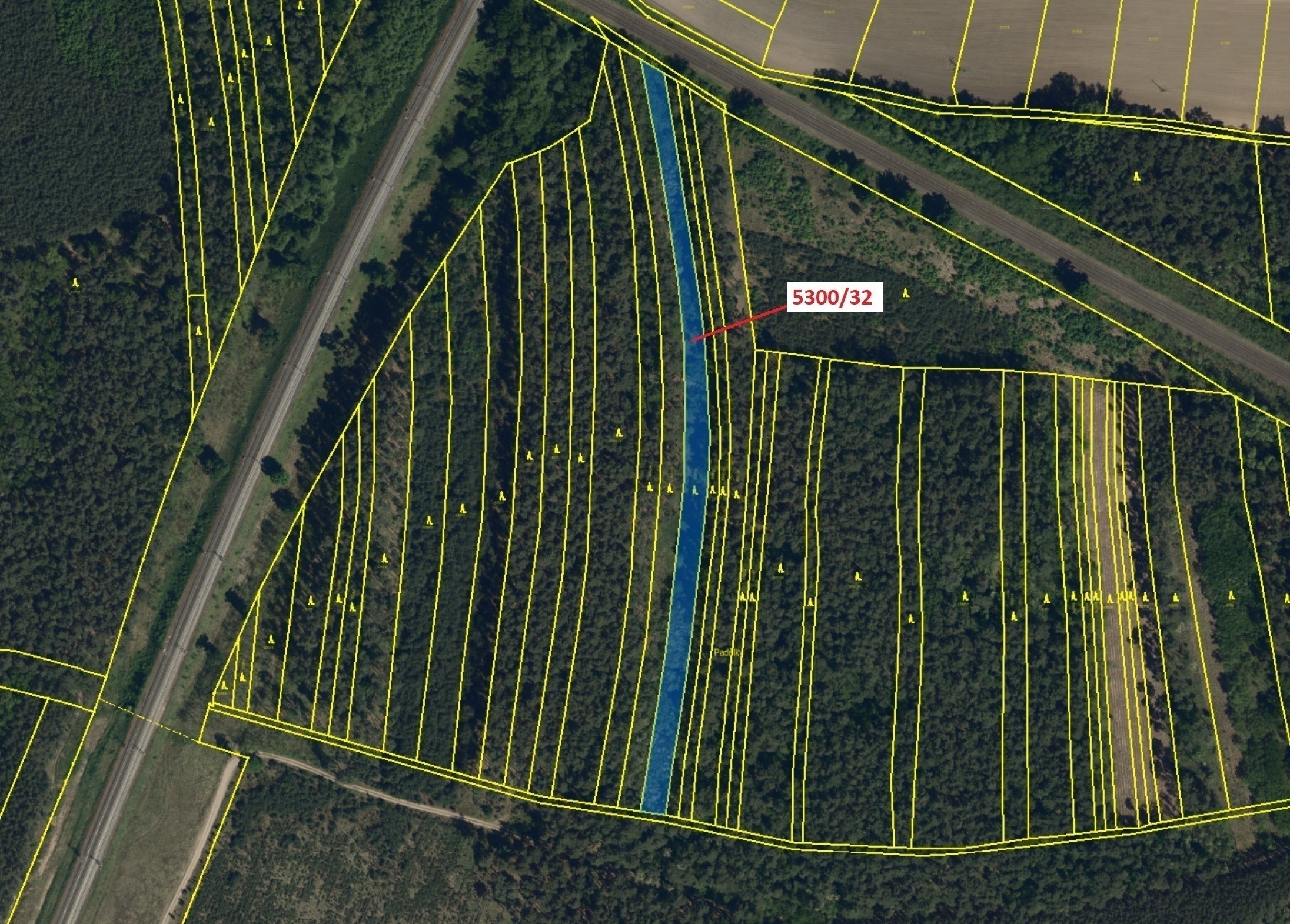 Lesní pozemek o výměře 4949 m2, podíl 1/1, katastrální území Bzenec, obec Bzenec, obec s rozšířenou 