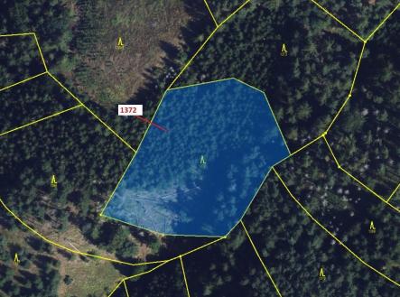 Prodej - pozemek, les, 5 978 m²