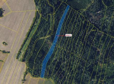 Prodej - pozemek, les, 5 465 m²