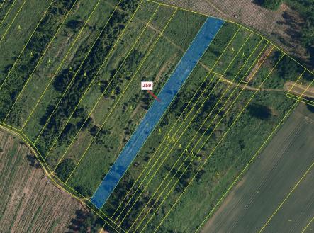 Prodej - pozemek, les, 6 645 m²