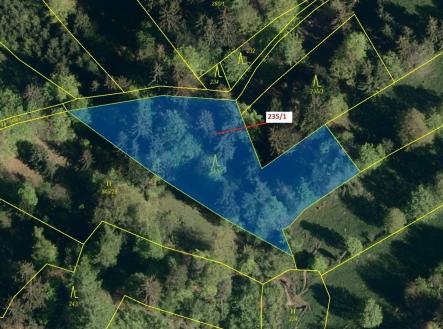 Prodej - pozemek, les, 2 467 m²