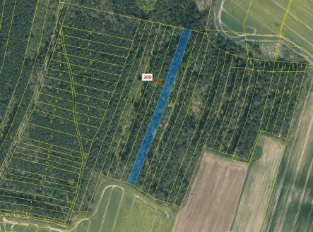 Prodej - pozemek, les, 5 196 m²