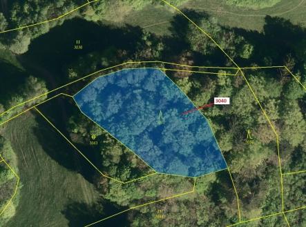 Prodej - pozemek, les, 2 428 m²