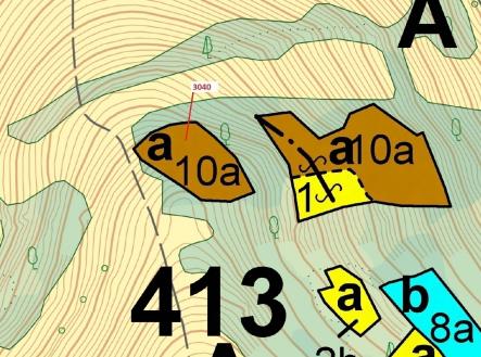 Prodej - pozemek, les, 2 428 m²