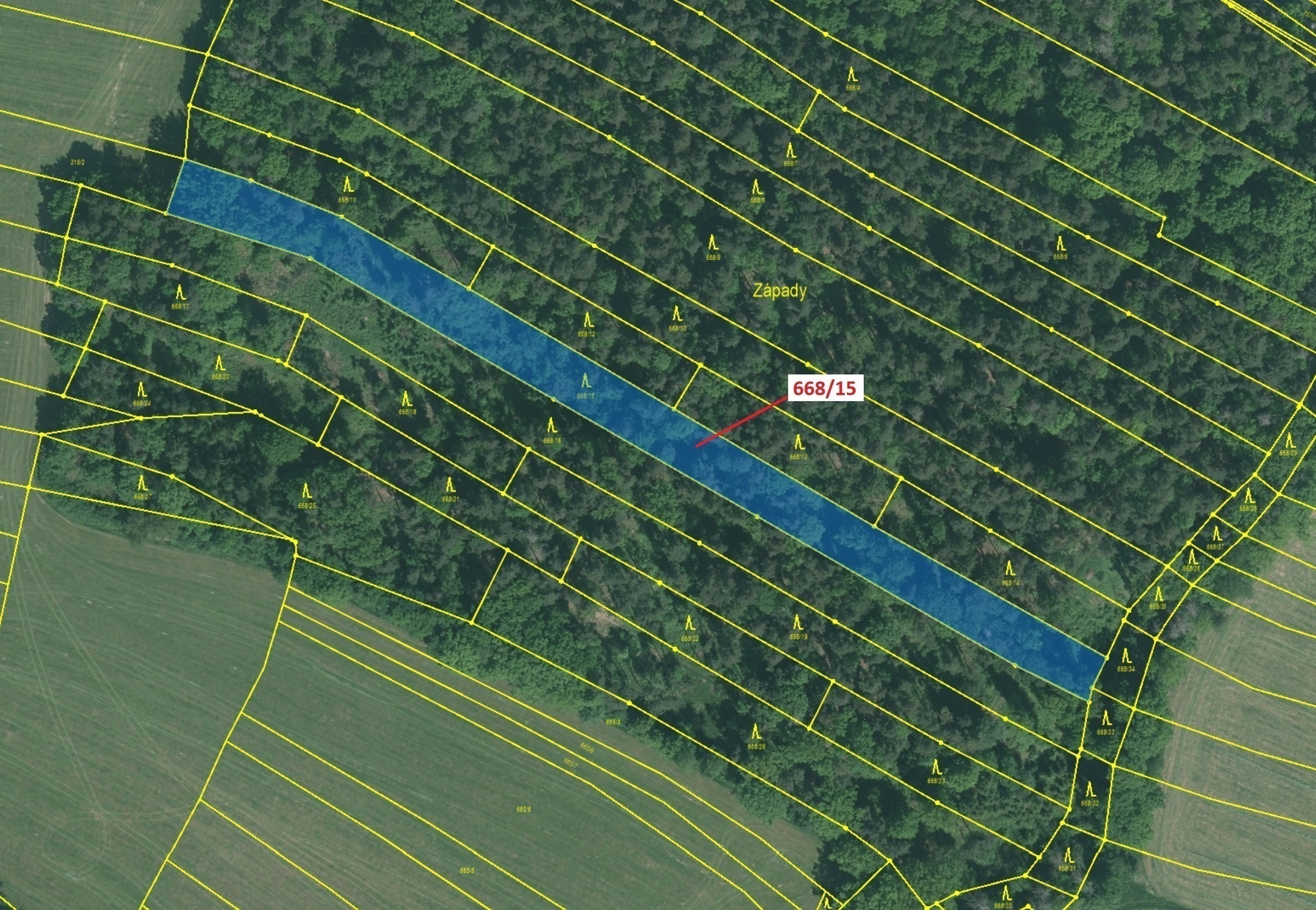 Lesní pozemek o výměře 4 689 m2, podíl 1/1, katastrální území Milavče, obec Milavče, obec s rozšířen