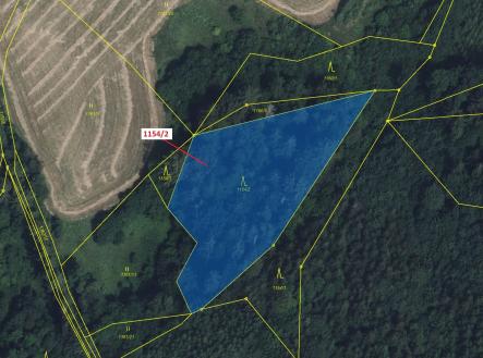 Prodej - pozemek, les, 3 699 m²