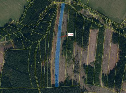 Prodej - pozemek, les, 5 036 m²